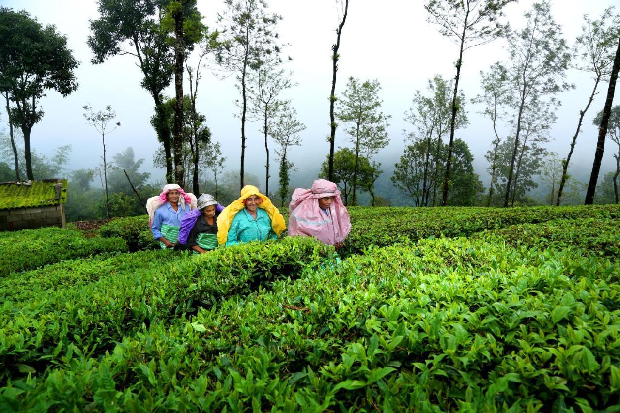 Winter Vale Green Stay Resorts Vagamon Exteriér fotografie